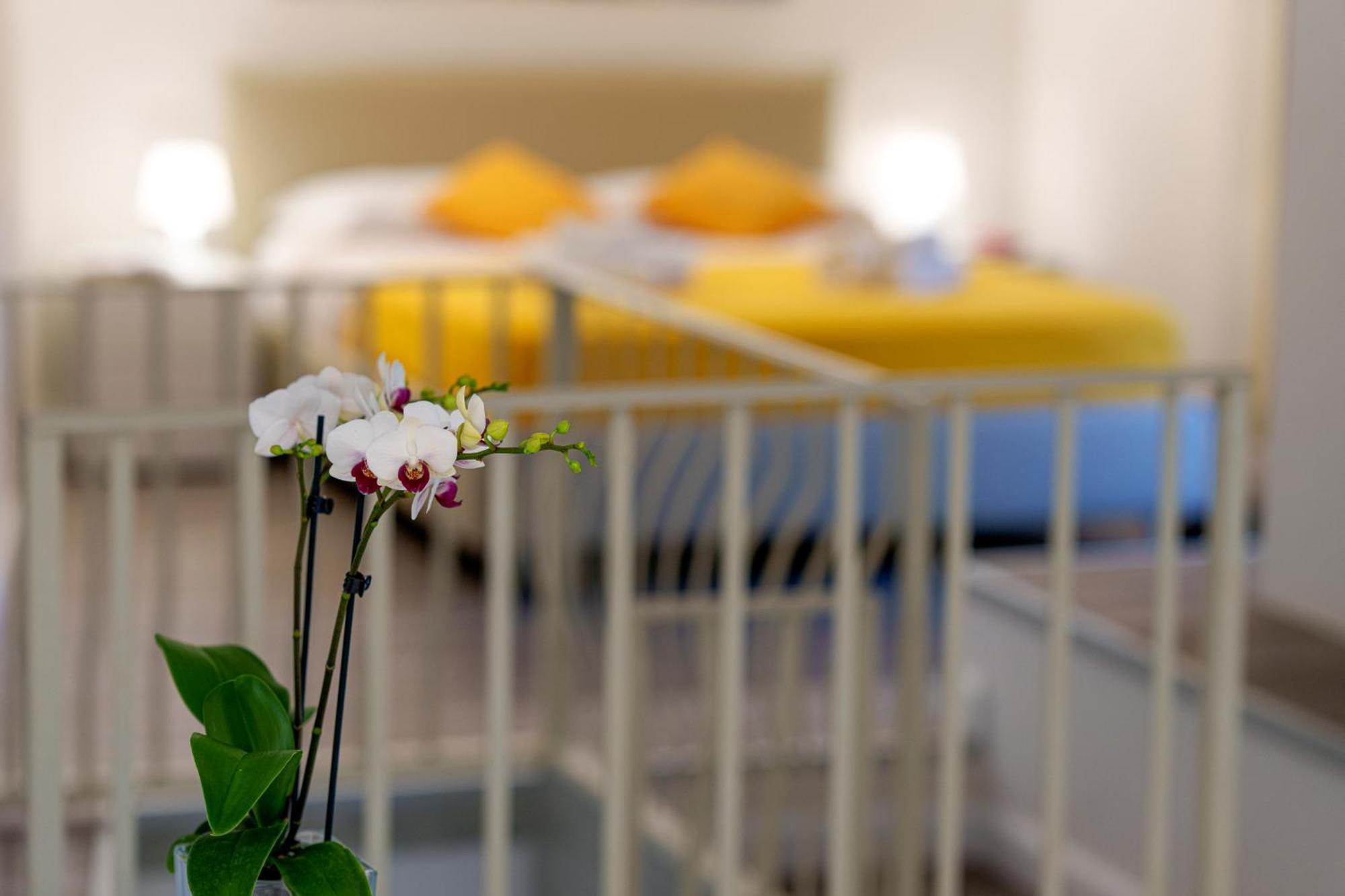 Holidays Homes The Dream 圣安吉洛 外观 照片